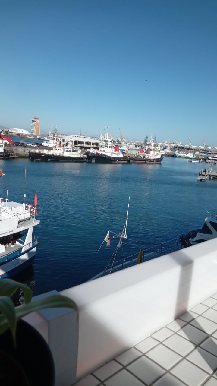 Views - Scenic View 11