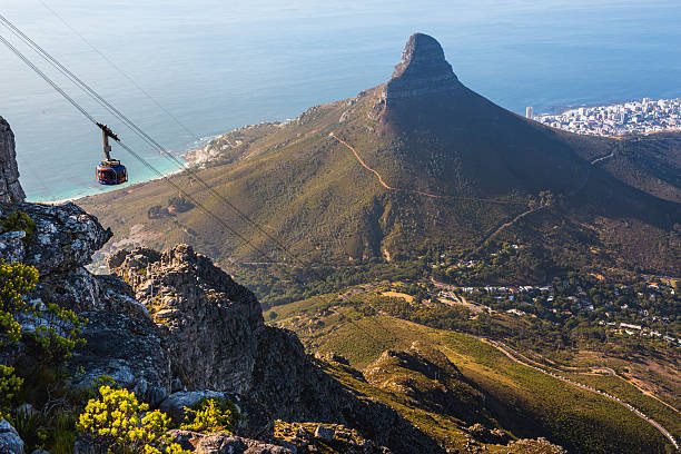Table Mountain & Cape of Good Hope