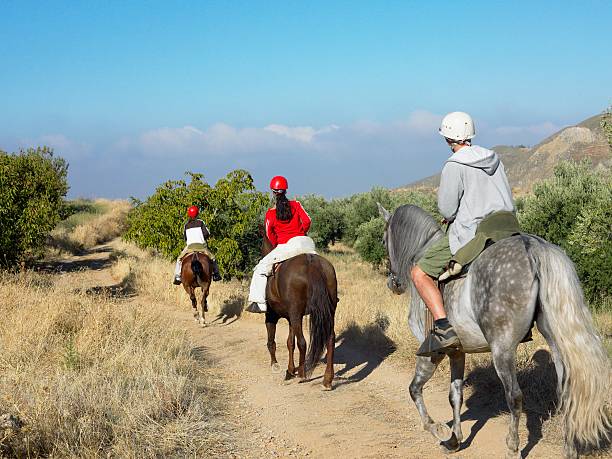 Horseback Safari, Aquila Game Reserve & Wine Tasting