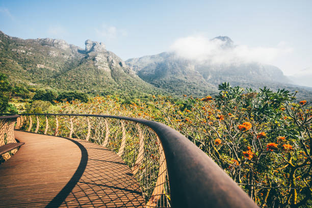 Robben Island, Kirstenbosch Gardens & Wine Tasting