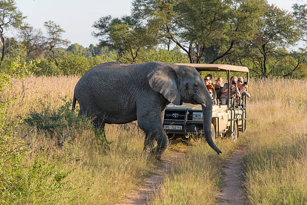 7 Days Cape Town & Kruger National Park